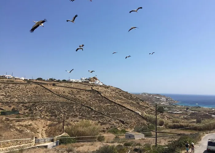 Apartament A&a House Mykonos B